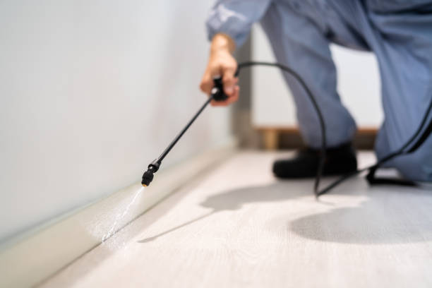 Licensed Mosquito Control service in Smithfield, UT - Show Me Pest Control