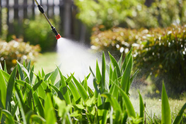 24/7 Emergency Mosquito Control experts in Smithfield, UT