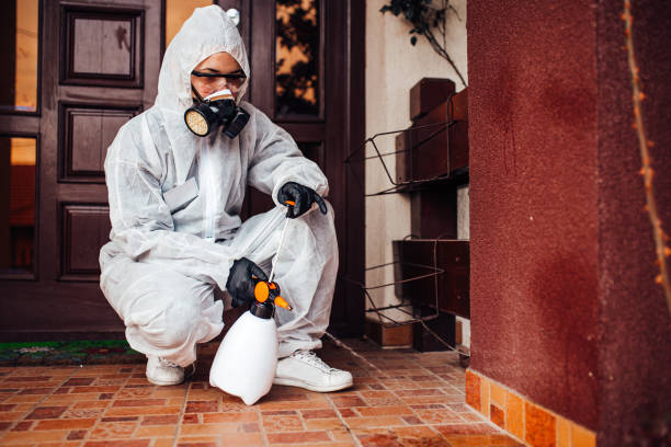 Reliable Mosquito Control contractor in Smithfield, UT by Show Me Pest Control